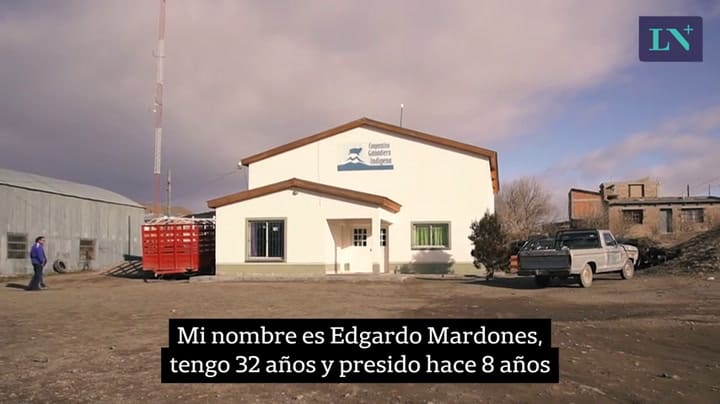 Cómo hacen las cooperativas de la Patagonia para salir adelante