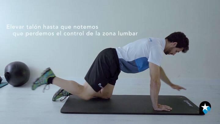¿Cómo hacer el ejercicio Bird Dog?