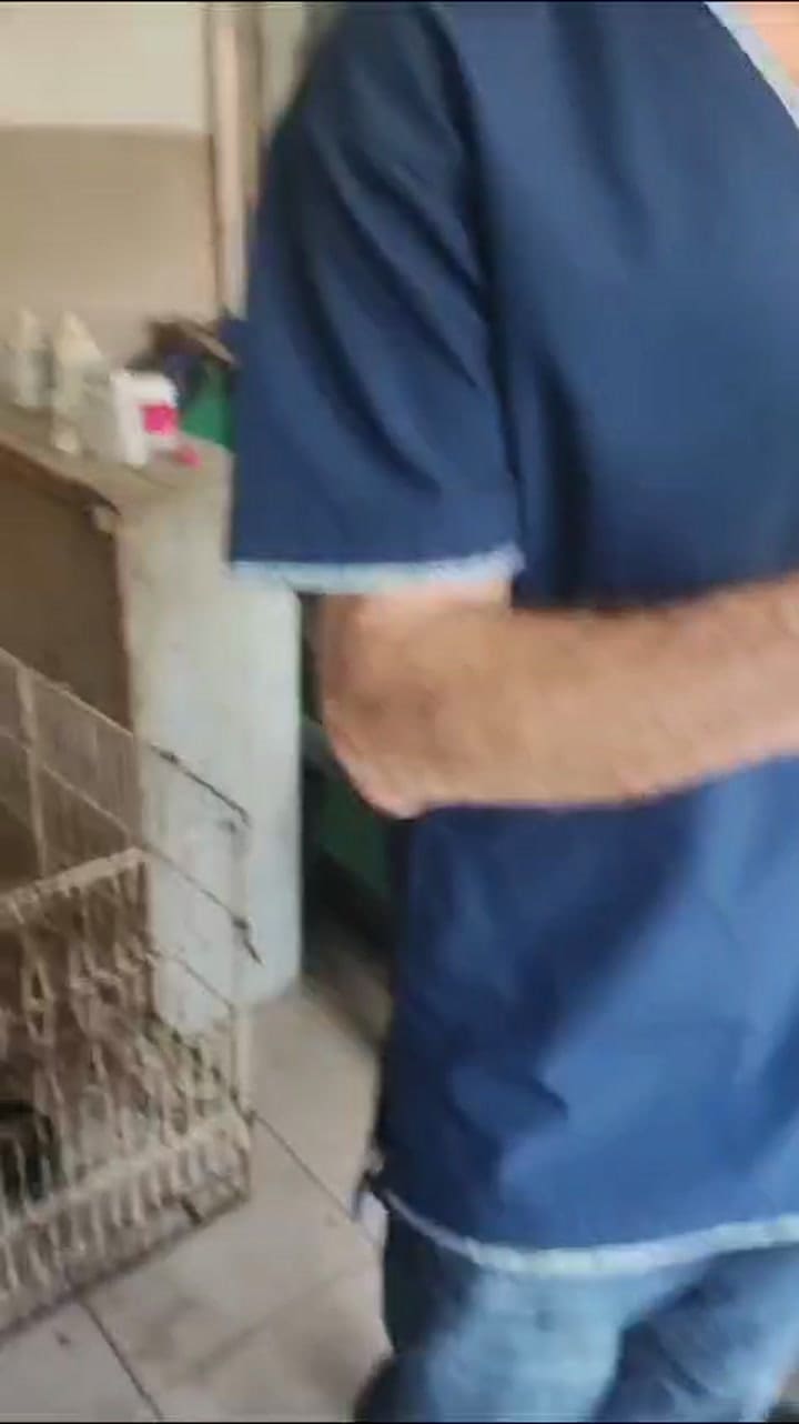 Vid-20240607-wa0082