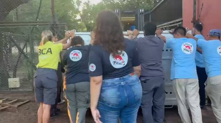 La salida de los osos de Luján