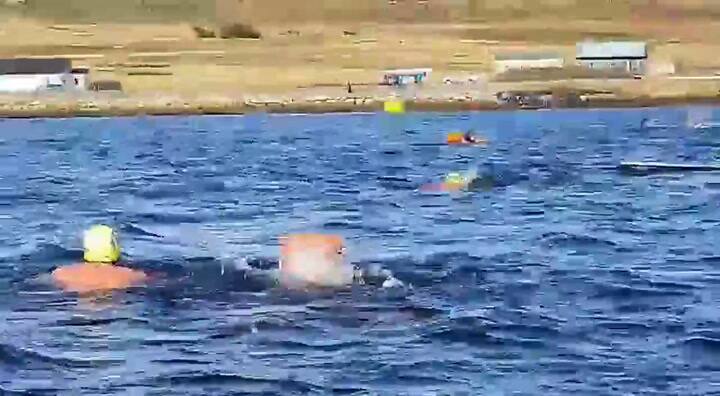 Nado en Malvinas en homenaje a los Héroes