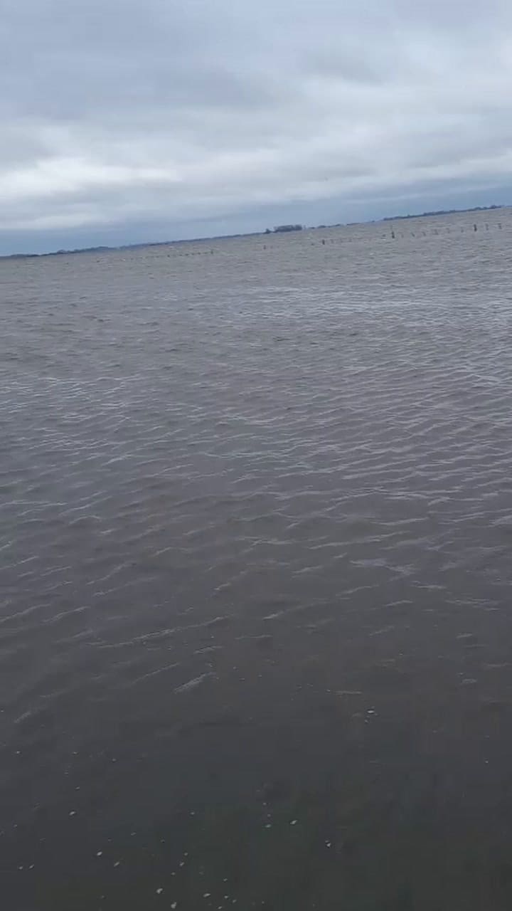 Así está inundado el campo de la familia