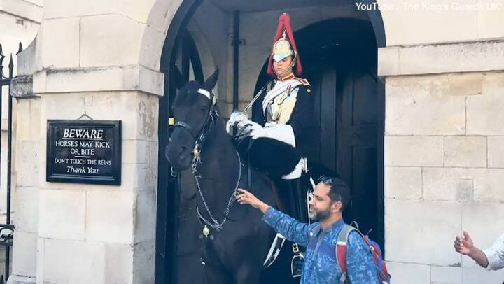 'Do Not Touch The Reins!' Moment King's Guard Screams At Tourist