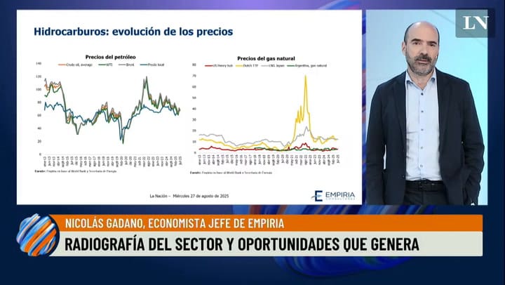 Radiografía Del Sector Y Oportunidades Que Genera. El Análisis Del Economista Nicolás Gadano.