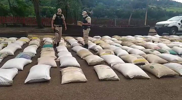 Operativo por soja en El Soberbio, Misiones (Crédito: Min. Seguridad de la Nación)