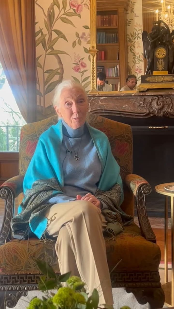 Jane Goodall hablando de la muerte
