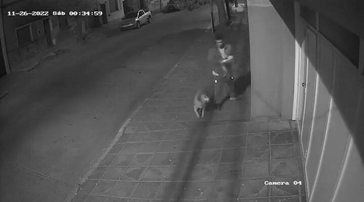 Robó una bandera de argentina, lo viralizaron y se disculpó con una insólita excusa