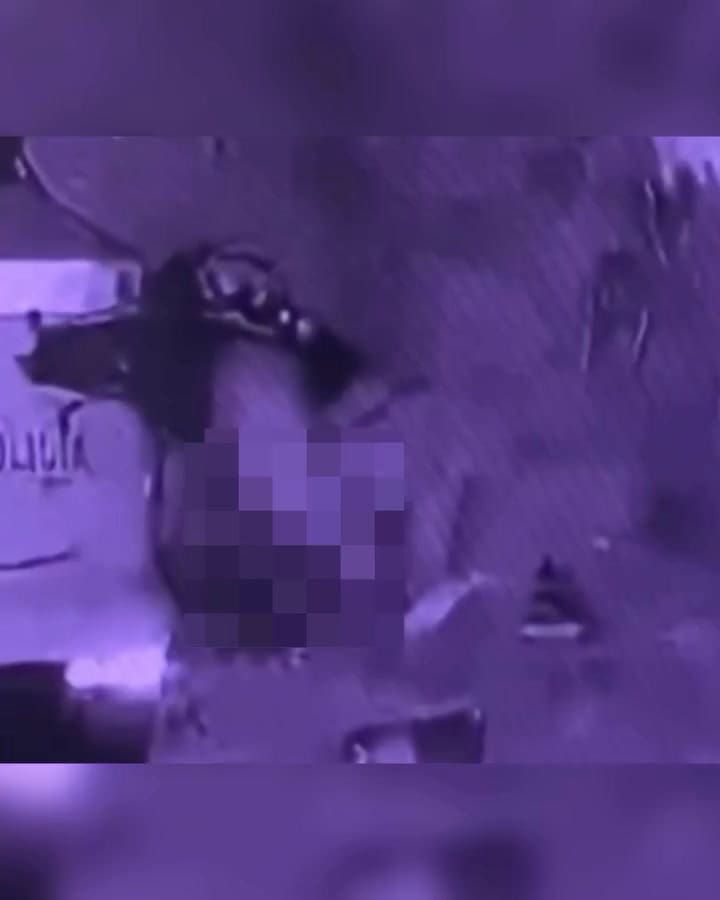 El hecho fue captado por una cámara de seguridad del predio privado.