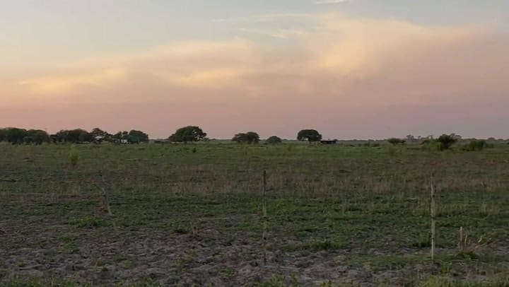 Delincuentes robaron un avión, se quedaron sin combustible, cayeron y murieron en el acto
