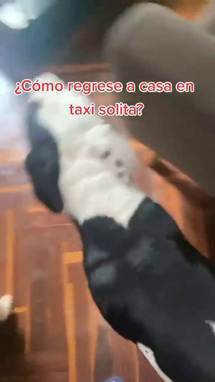 Explicaron cómo llegó la perrita a la casa
