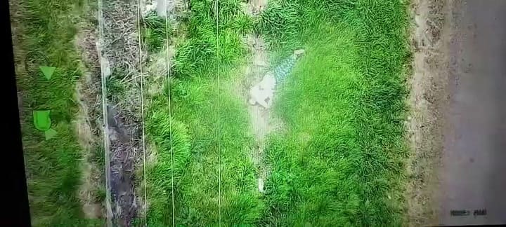 El crimen del jubilado de Zárate: el momento del hallazgo del cuerpo