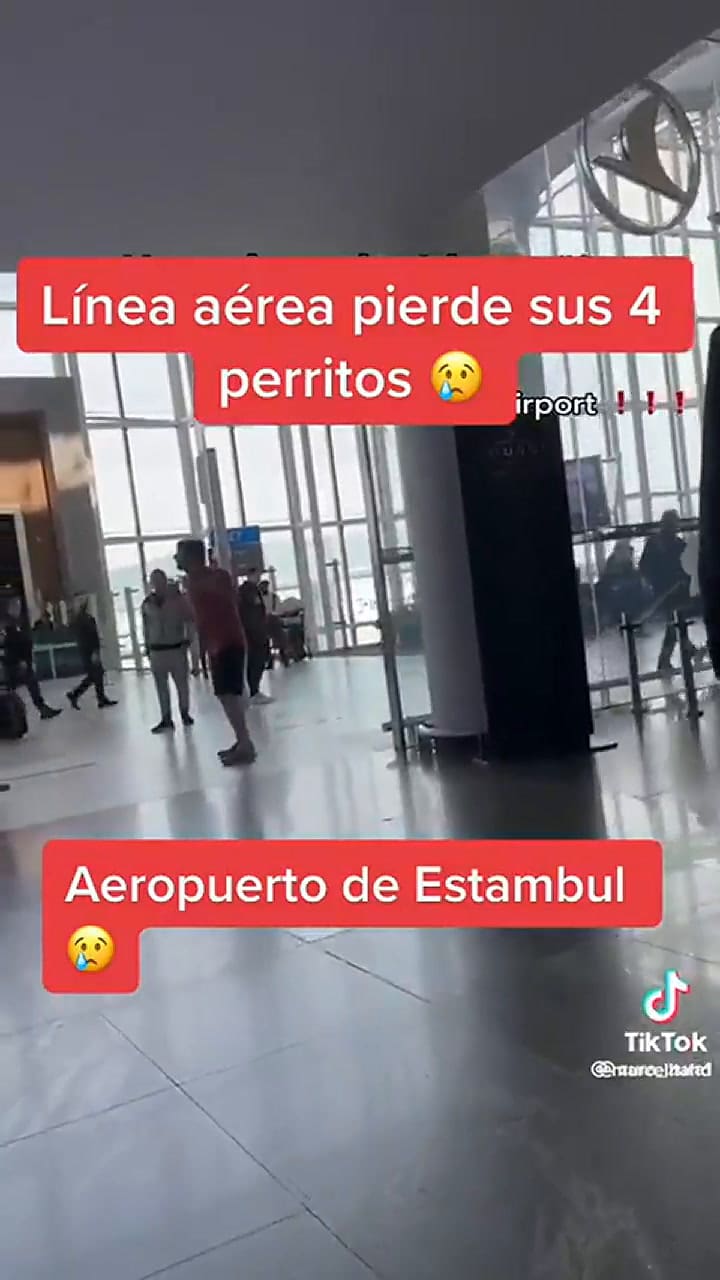 El llanto desesperado del hombre