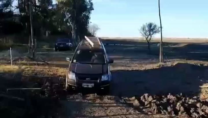 Así recuperaron el colmillo del mastodonte en San Pedro