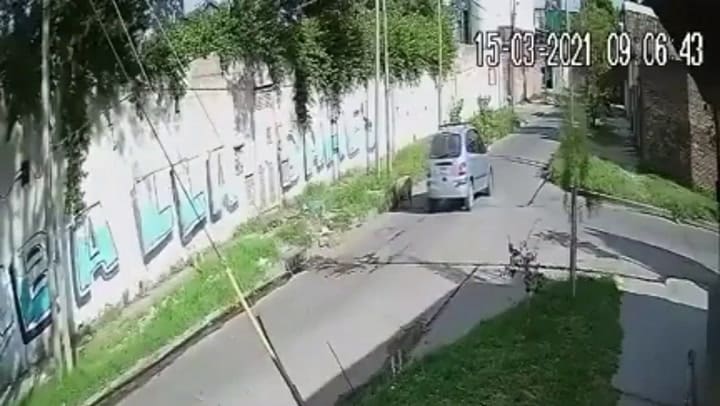 Lanús: robaron una oveja que estaba pastando en una vereda