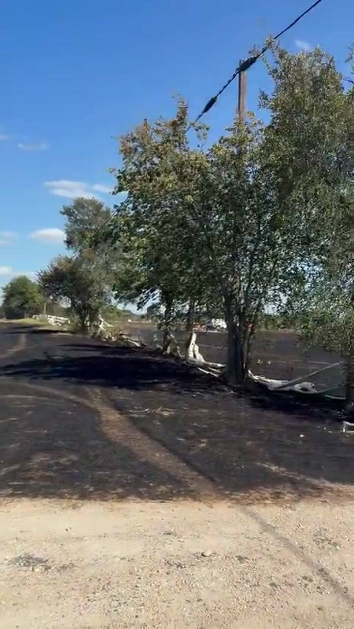 El pasto quemado en el lugar donde se estrelló el helicóptero