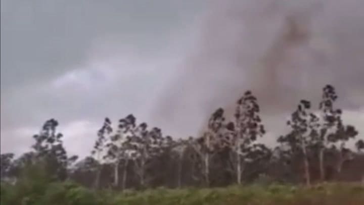 GIF MISIONES