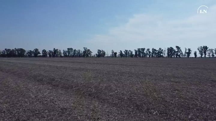 Sequía: la crisis en el sudeste de Córdoba la estrategia de los productores