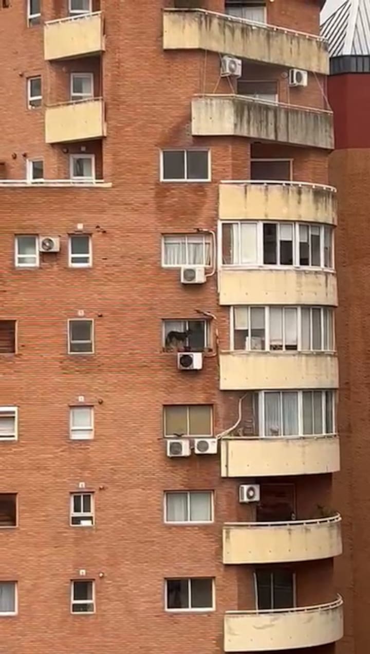 Whatsapp Video 2024-07-25 At 17.22.12