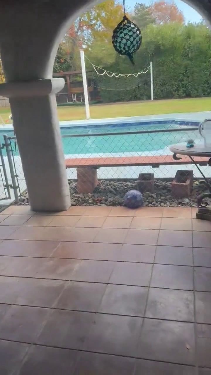 Terremoto en California: así lo filmó una familia en Chico