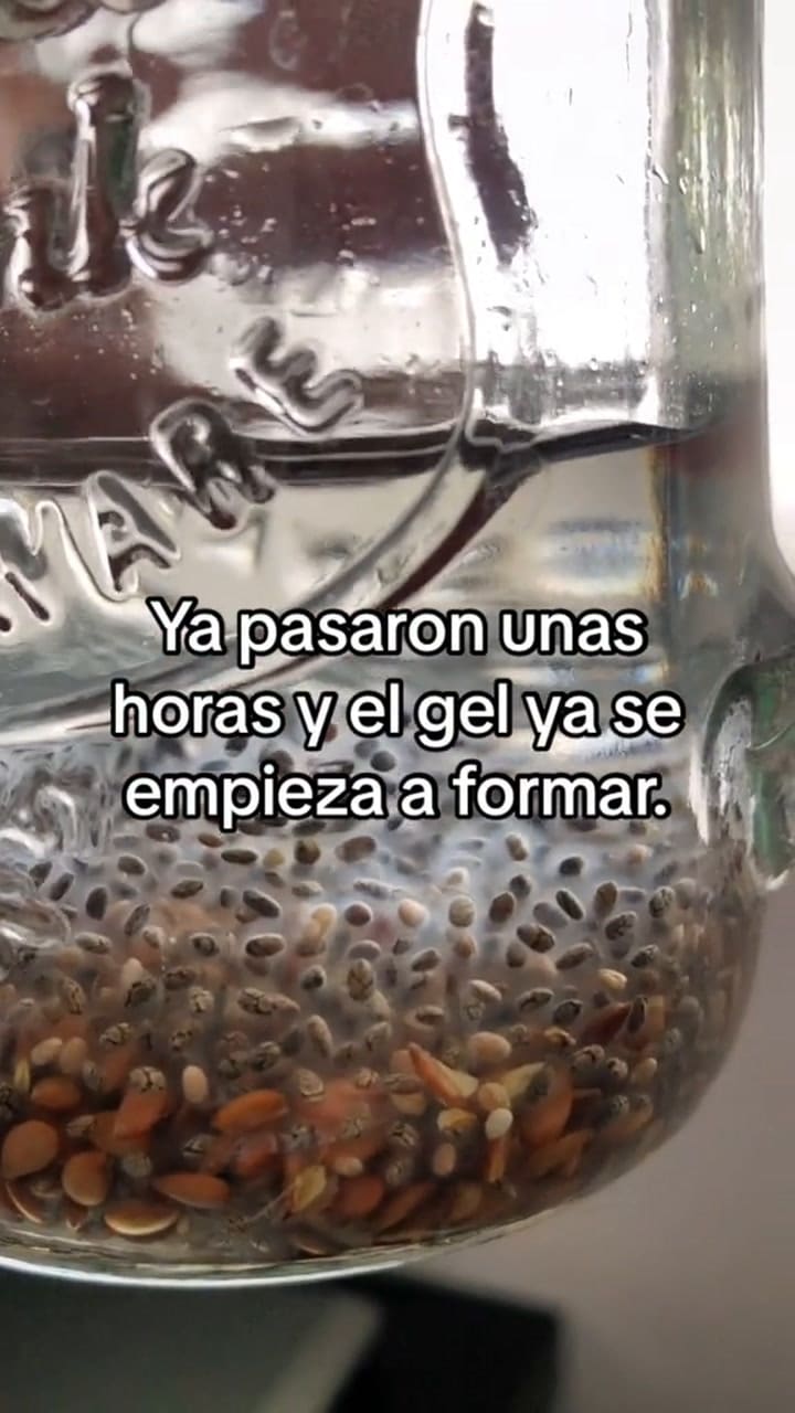 Agua de chía y linaza