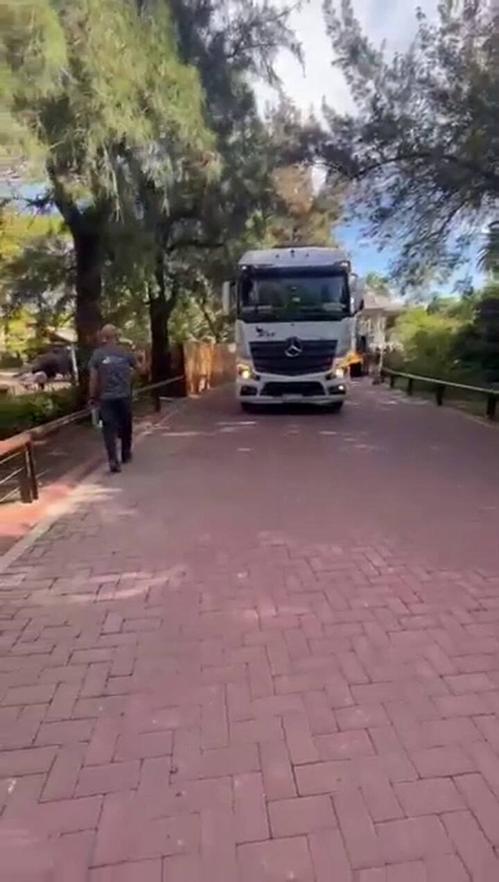 Salida de la elefanta Pupy del ecoparque de Buenos Aires