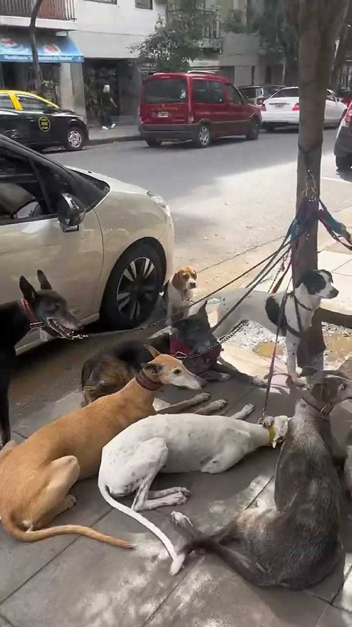 Es extranjera y reveló lo que más la sorprendió al pasear por las calles de Buenos Aires