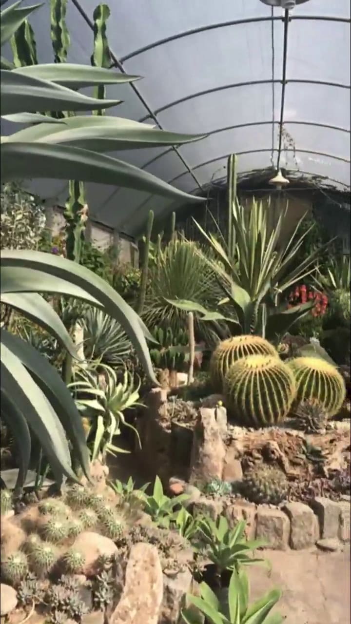 Vivero Rauscher