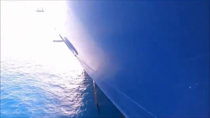 Las aterradoras imágenes de una GoPro que revelan los misterios nocturnos del océano