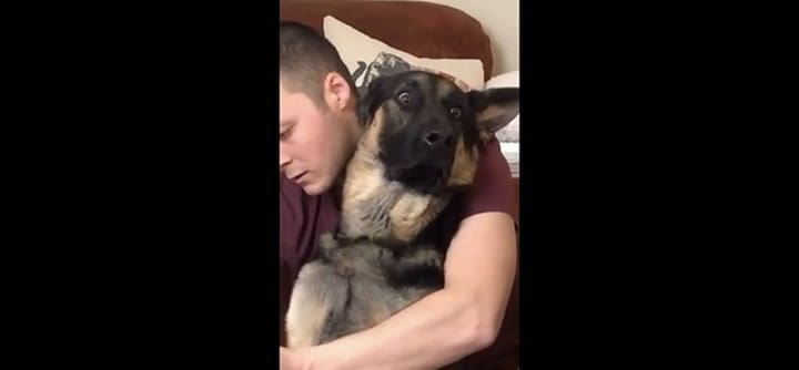 La divertida cara de un perro cuando le cortan las uñas