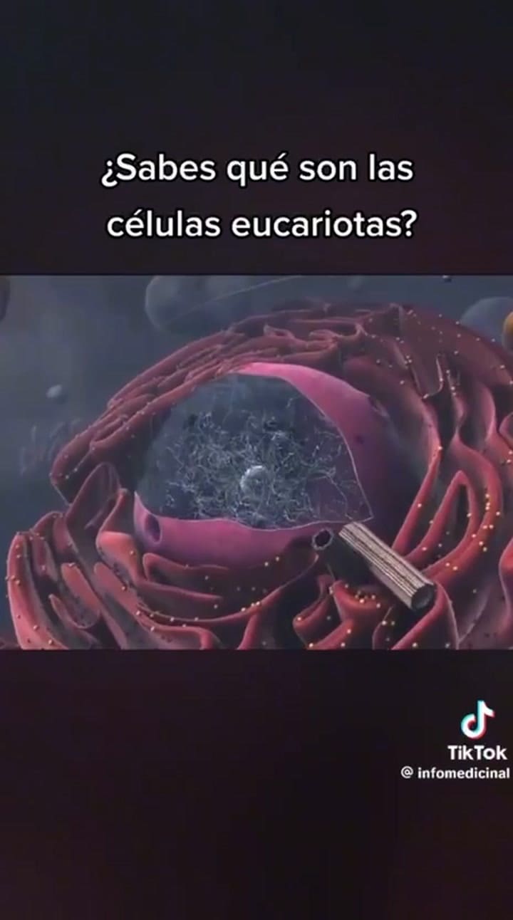 El origen de las células eucariotas