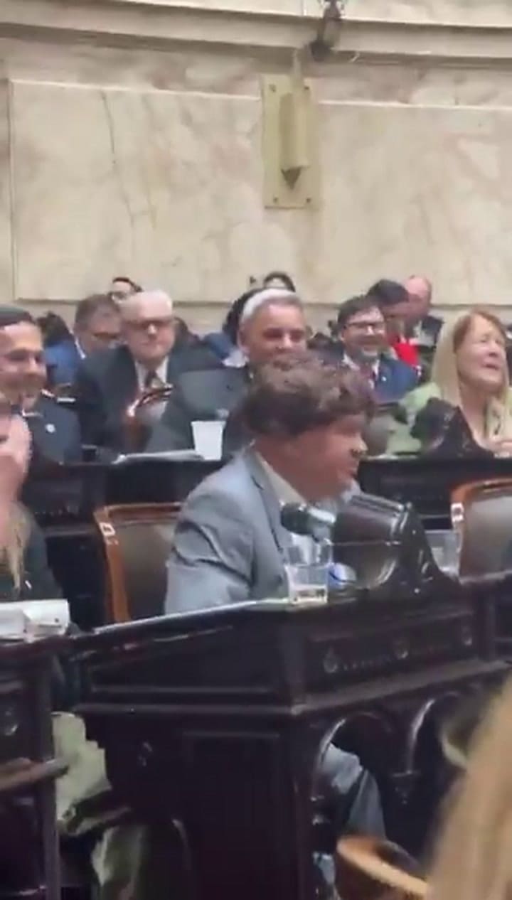 El diputado Aldo Leiva se puso una peluca para votar
