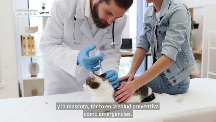 VETIFY, la prepaga de perros y gatos