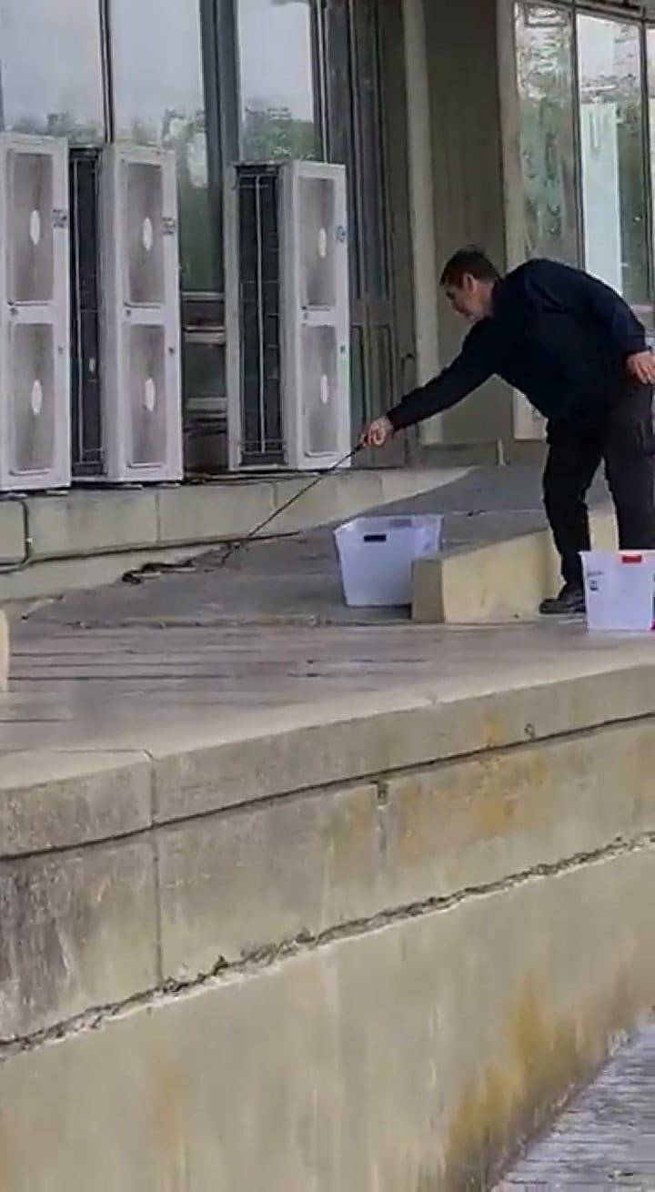 Apareció una serpiente yarará y la facultad emitió un comunicado donde explicó los motivos
