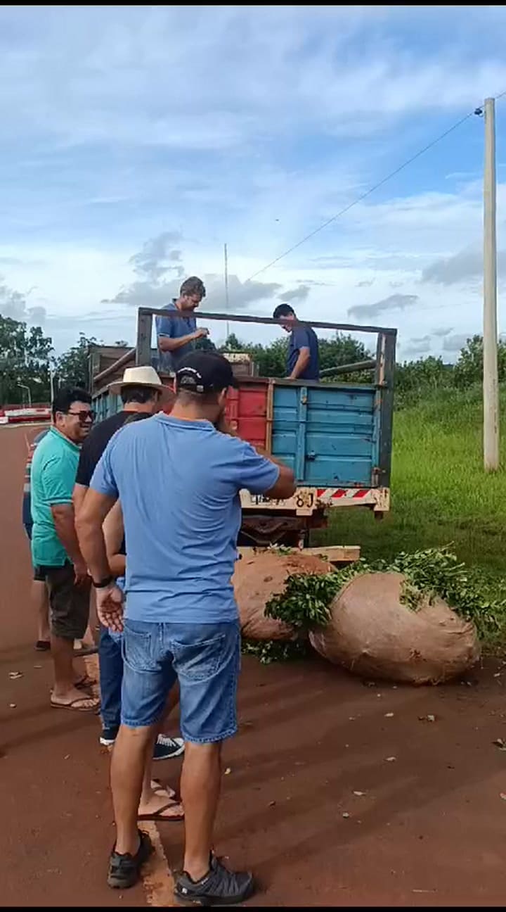 La medida de fuerza lleva varios días
