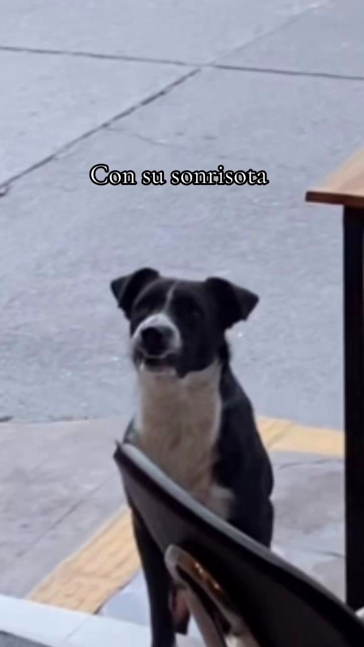 Buddys se ganó el corazón de los dueños del comercio