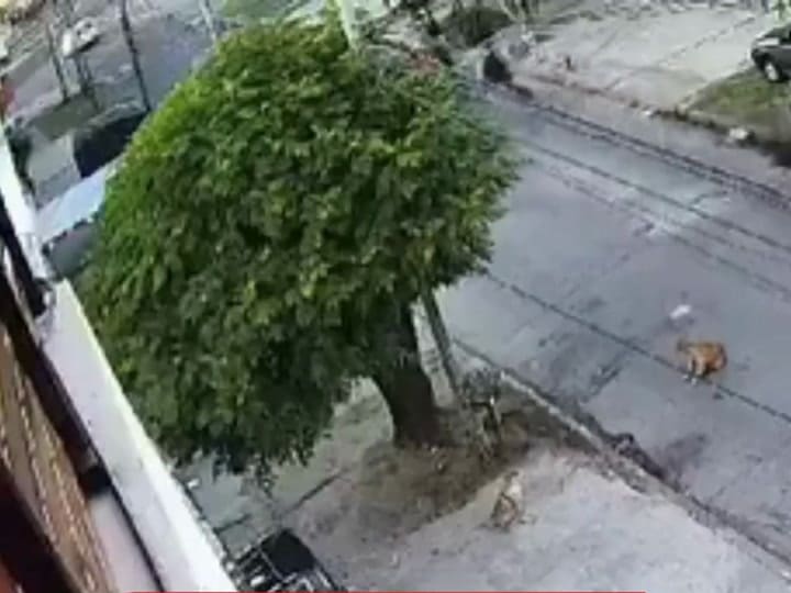 Motochorro muerto policia Tres de Febrero