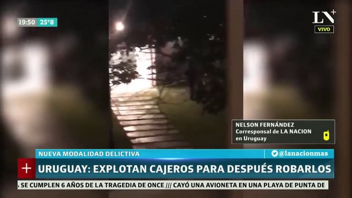 Ya se registraron 13 casos en tan solo tres meses