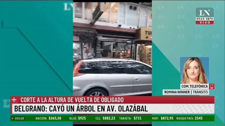 Belgrano: un árbol se desplomó sobre Avenida Olazábal y cortó el tránsito por completo