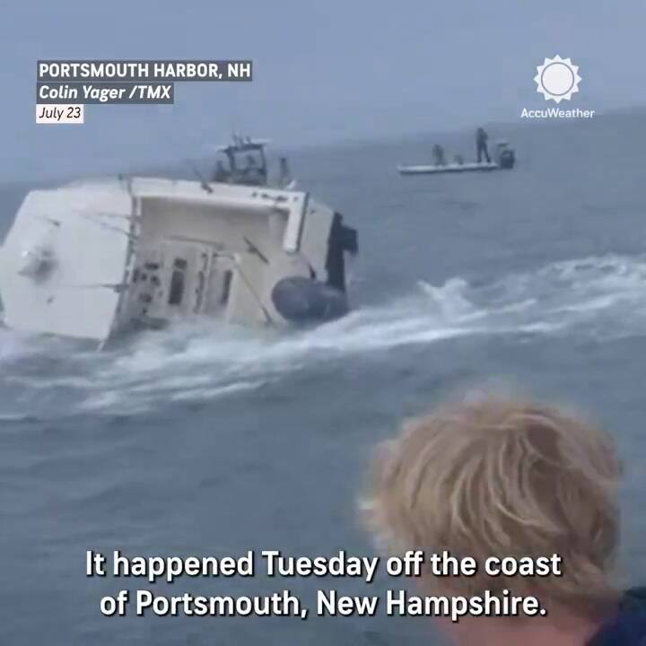 Una ballena dio vuelta un barco en New Hempshire