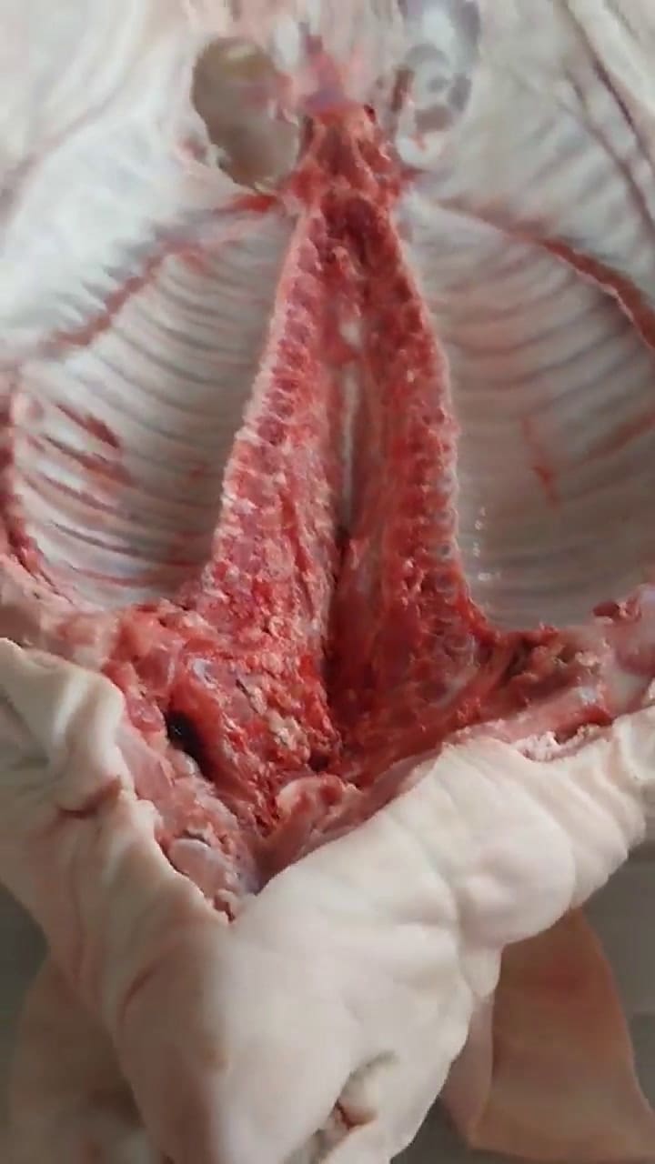 Troceo de lechón