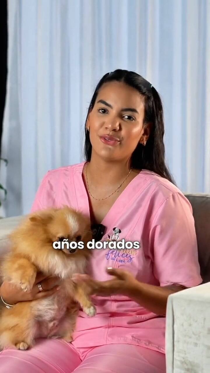 Cuatro señales de que un perro se está poniendo mayor