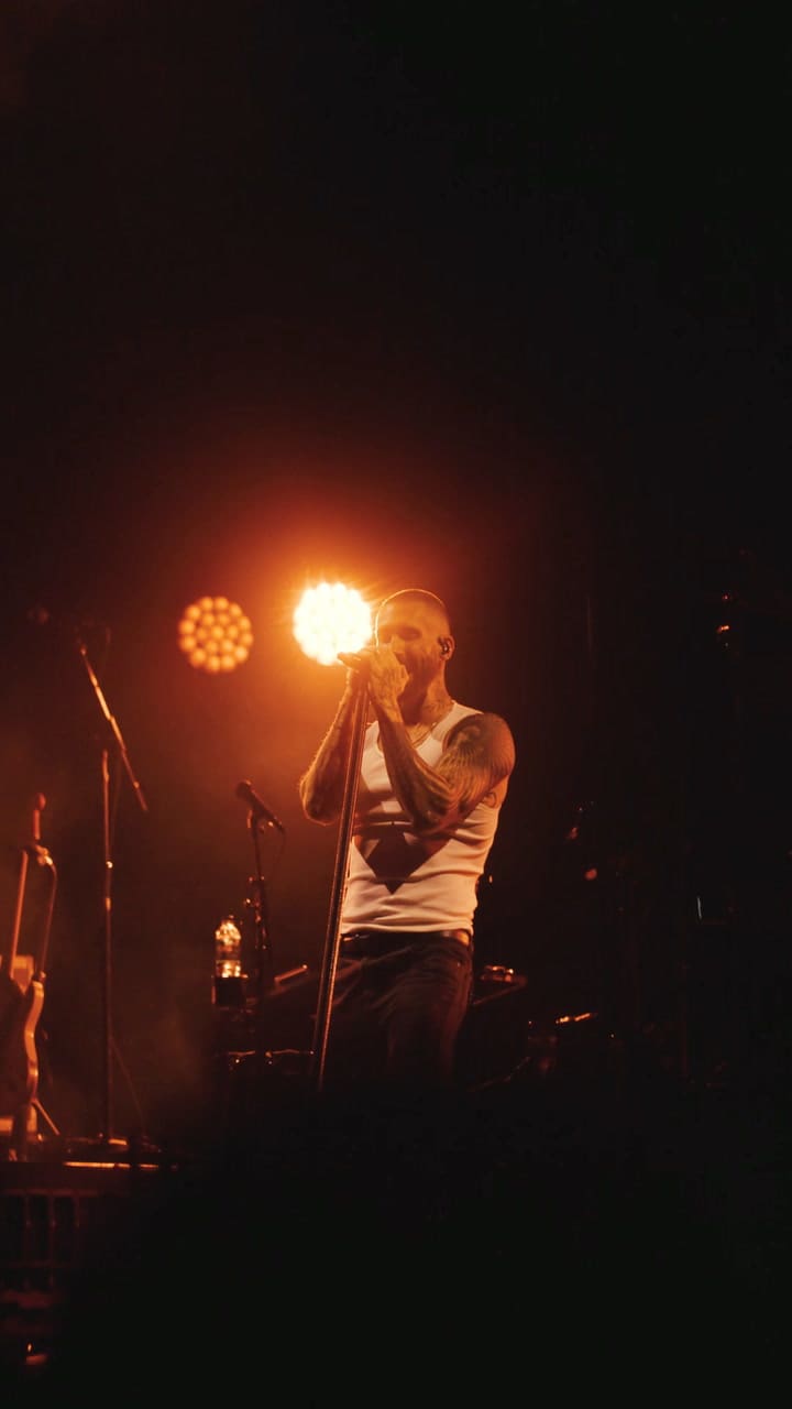 Maroon 5 canta "Animals" en Argentina