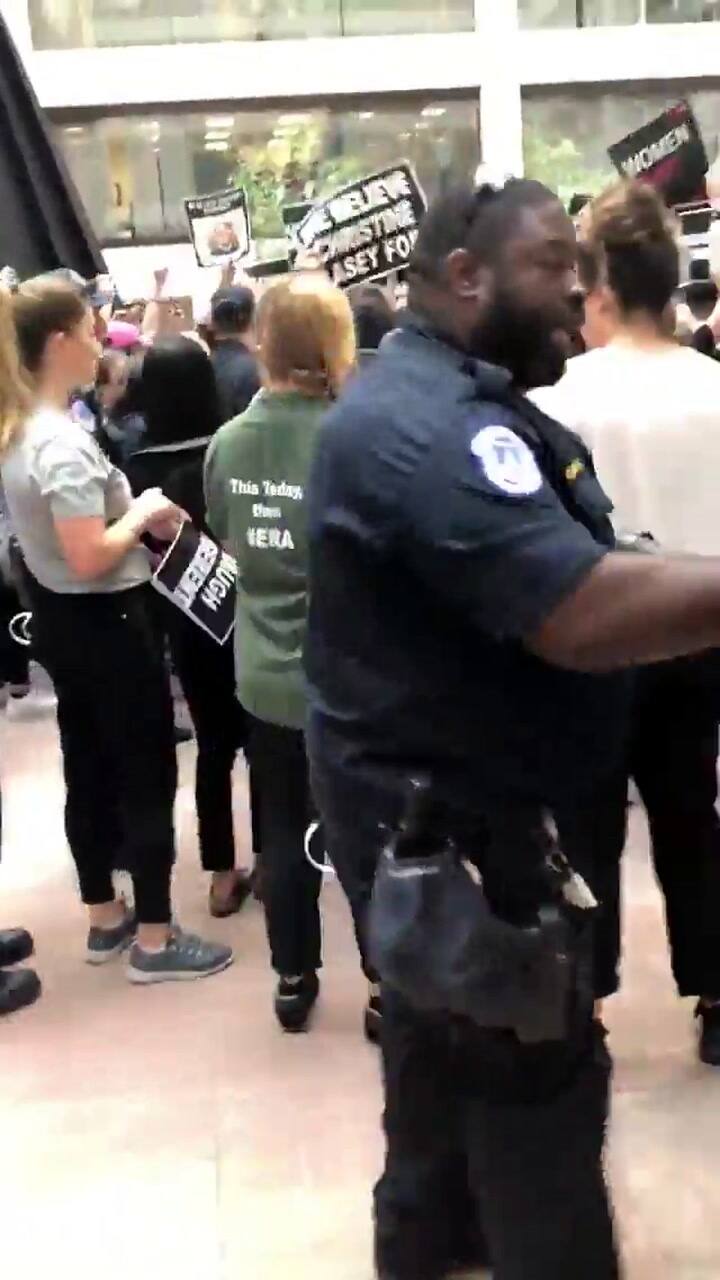 Amy Schumer en una manifestación contra Brett Kavanaugh, acusado de abuso sexual - Fuente: Twitter