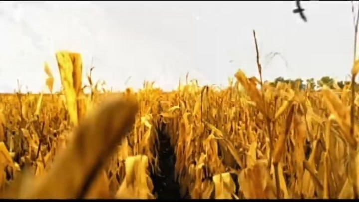 R. Helly, “I Believe I Can Fly” - Fuente: Youtube