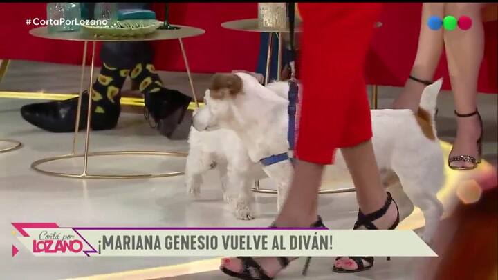Mariana Genesio, tras su separación: 'Estoy un poquito triste y deprimida' - Fuente: Telefe