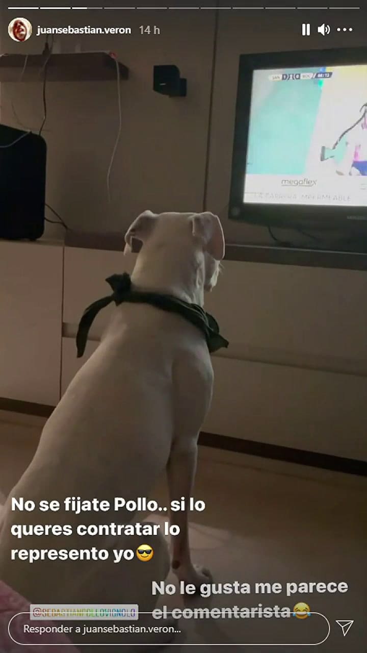 La broma de Verón a Latorre con su perro Ramóm - Fuente: IG Stories