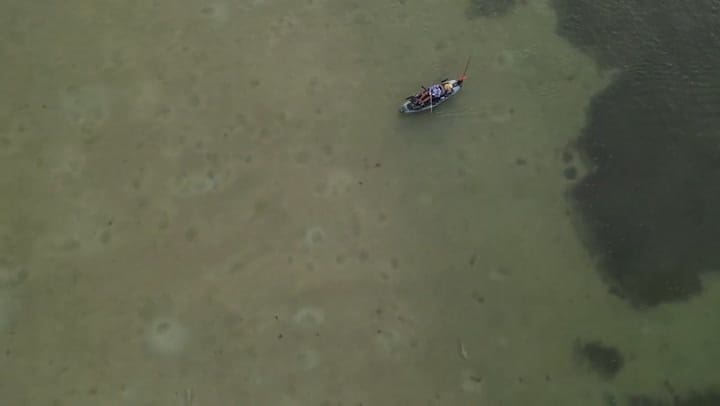 Un hombre pescaba en un kayak rodeado de tiburones