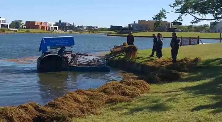 Las tareas de búsqueda de Guido Orlando, desaparecido en la laguna de Puertos de Escobar