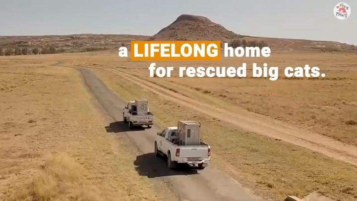 El santuario Lionsrock, en Sudáfrica