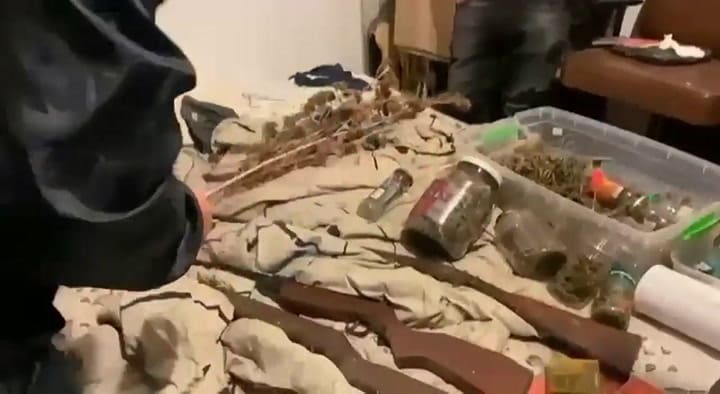 La Matanza: rescataron a una mona encadenada